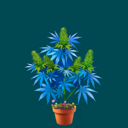 NFTokin #8924