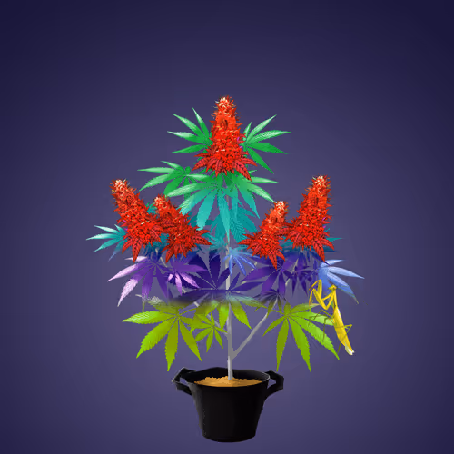 NFTokin #6434