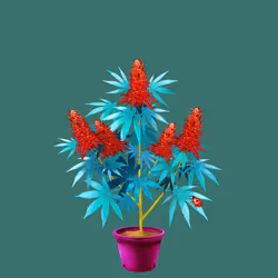 NFTokin #7372
