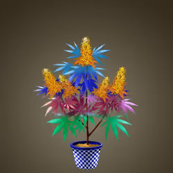 NFTokin #10313