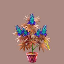 NFTokin #3062