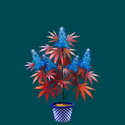 NFTokin #5840