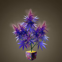 NFTokin #10174