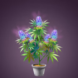 NFTokin #3900