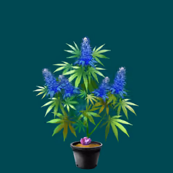 NFTokin #1644