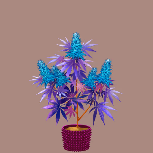NFTokin #7429