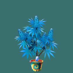 NFTokin #8713