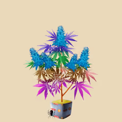 NFTokin #10720