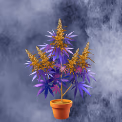 NFTokin #7125