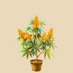 NFTokin #12399