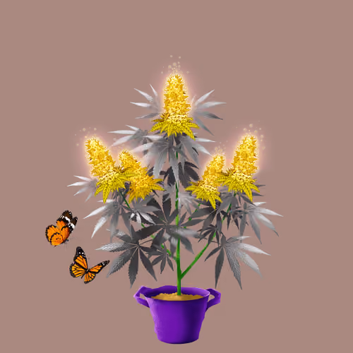 NFTokin #9178