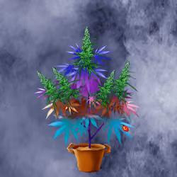 NFTokin #7059