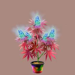 NFTokin #11772