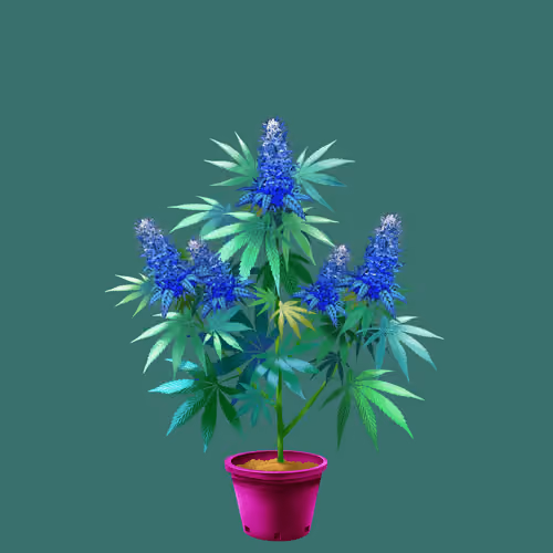 NFTokin #9498