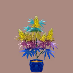 NFTokin #2114