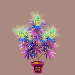 NFTokin #1279