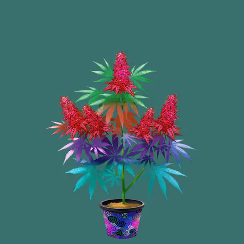 NFTokin #11883