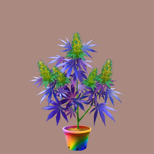 NFTokin #8235