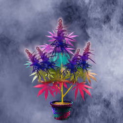NFTokin #2334