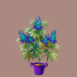 NFTokin #1512