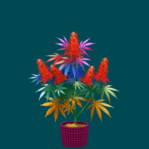NFTokin #12223