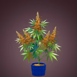 NFTokin #7239