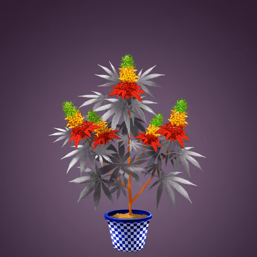 NFTokin #12902