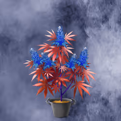 NFTokin #9370