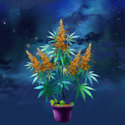 NFTokin #7412