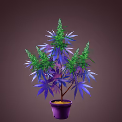 NFTokin #10105