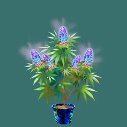 NFTokin #5009