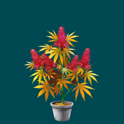 NFTokin #1425