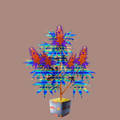 NFTokin #10689