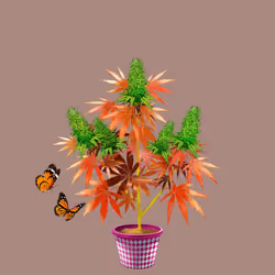 NFTokin #10460