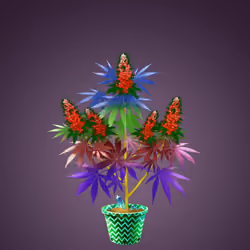 NFTokin #6294