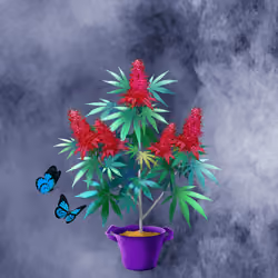 NFTokin #8978
