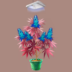NFTokin #12496