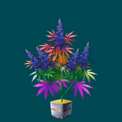 NFTokin #12866
