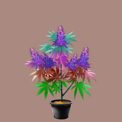 NFTokin #10012