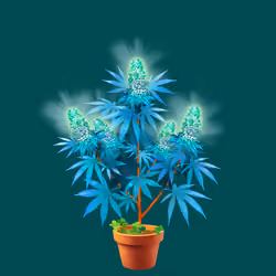 NFTokin #10228