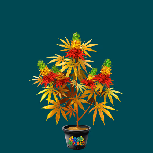 NFTokin #8715
