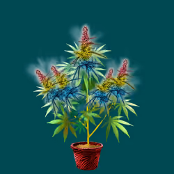 NFTokin #11511