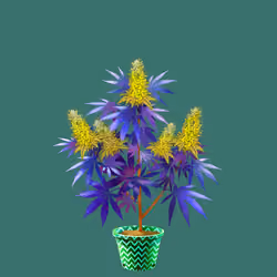 NFTokin #2147