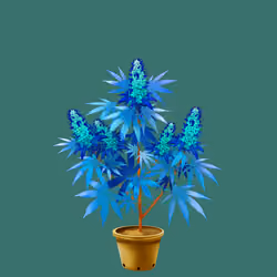 NFTokin #10656