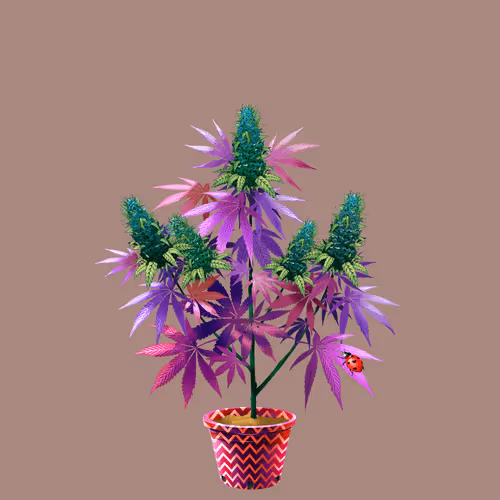 NFTokin #10151