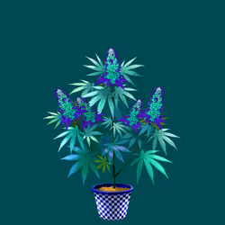 NFTokin #6256