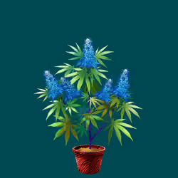 NFTokin #3281
