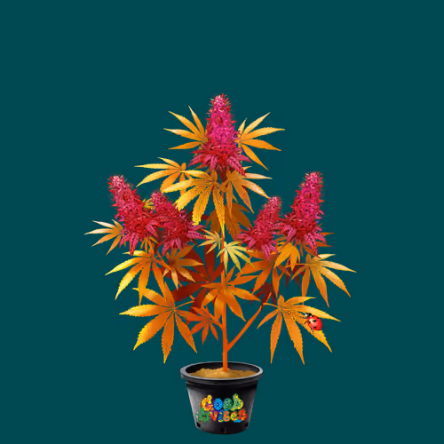 NFTokin #8501