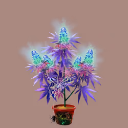 NFTokin #11788