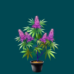 NFTokin #8309